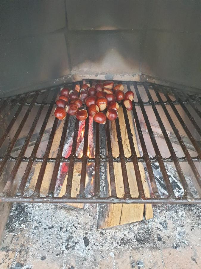 Casa La Ti Maria La Viuda * Riego de Lomba